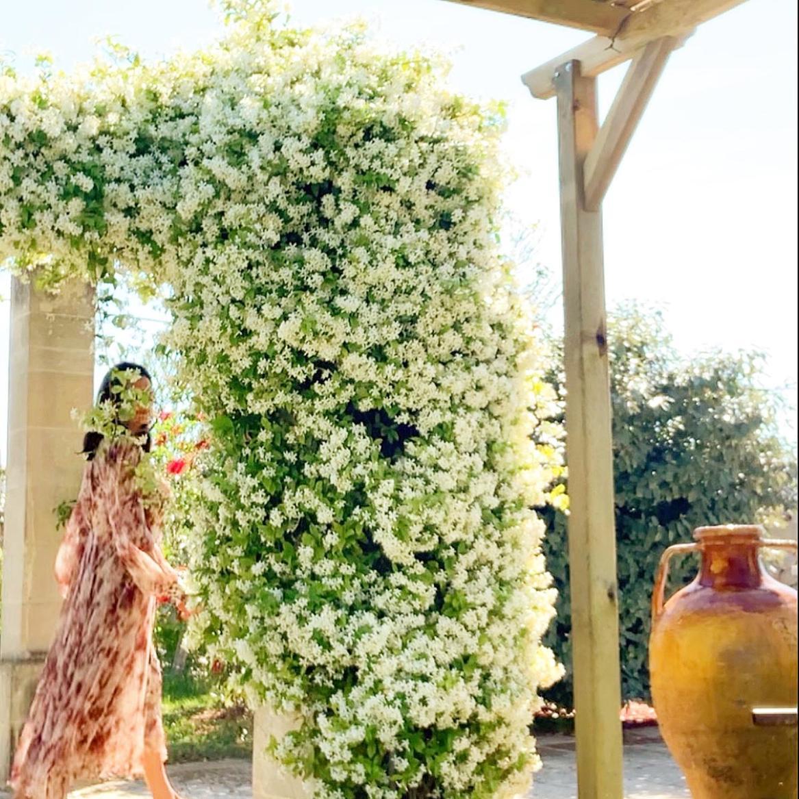 Masseria Vittoria Acaya Bagian luar foto